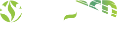 Mapsd Soluções Para Internet LTDA ME
